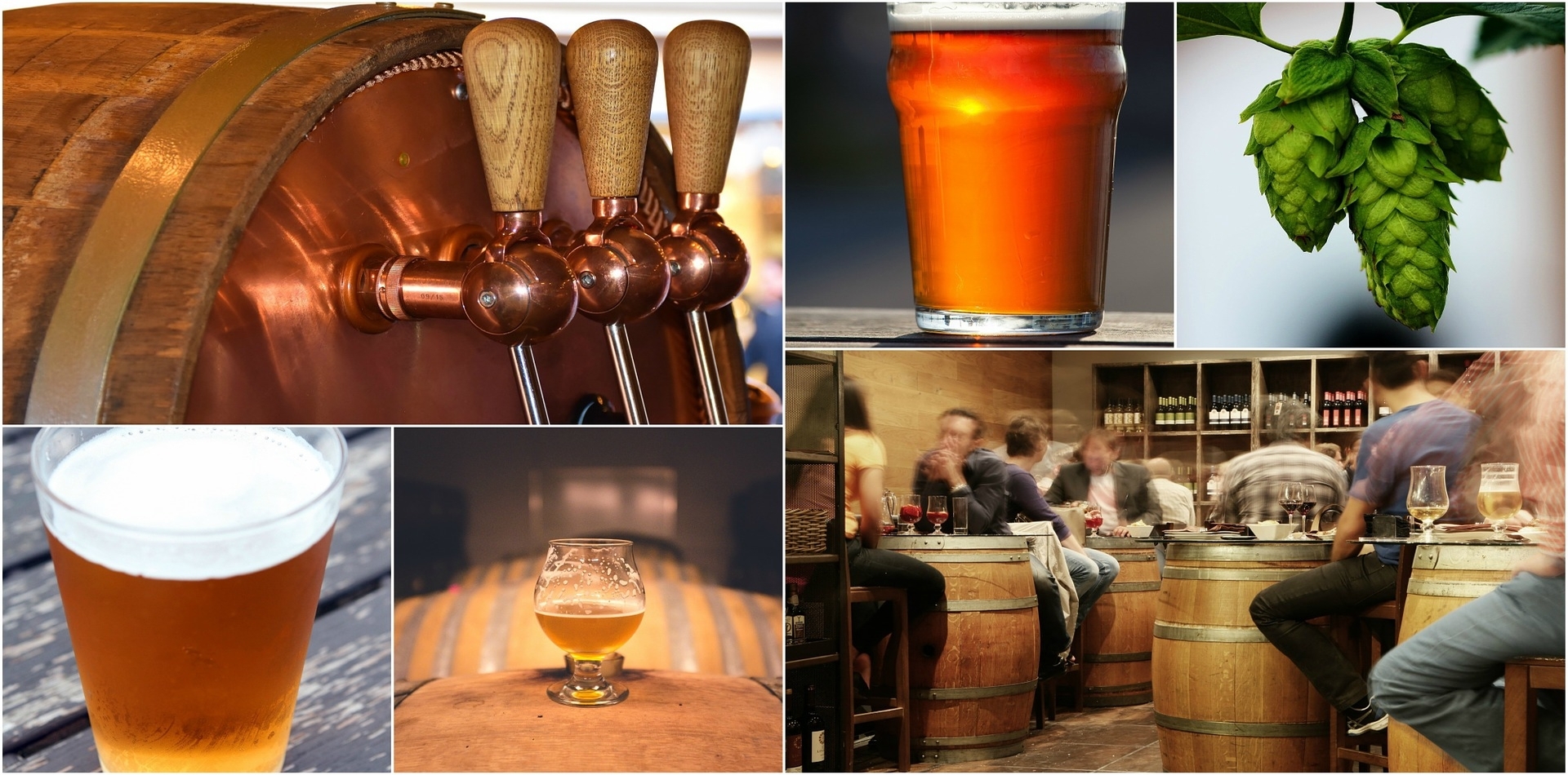 Beer tasting tours